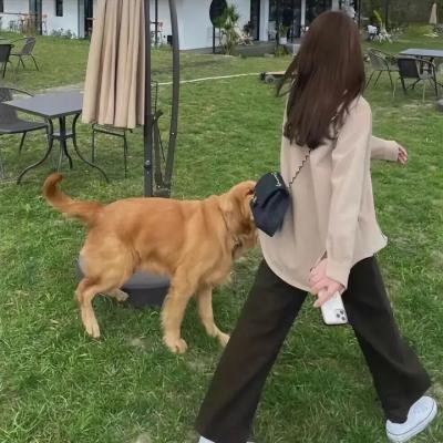 变态性心理